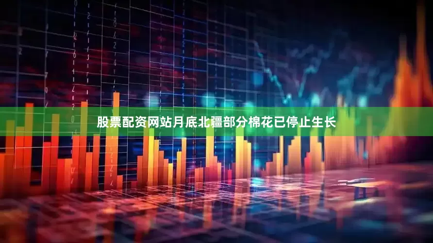 股票配资网站月底北疆部分棉花已停止生长